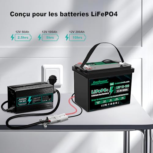 EverExceed - Chargeur LiFePO4 12V 20A pour Batteries Lithium de Voiture et de Marine - Cycle Profond & Durabilité++
Ever